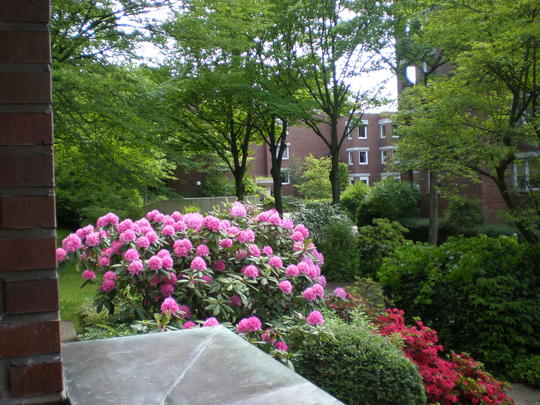 Blick von der Loggia • View from loggia